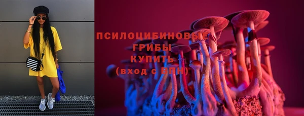 стаф Беломорск