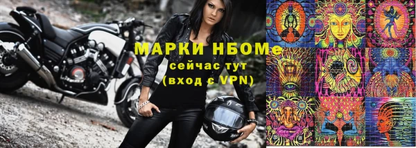 прущие грибы Баксан